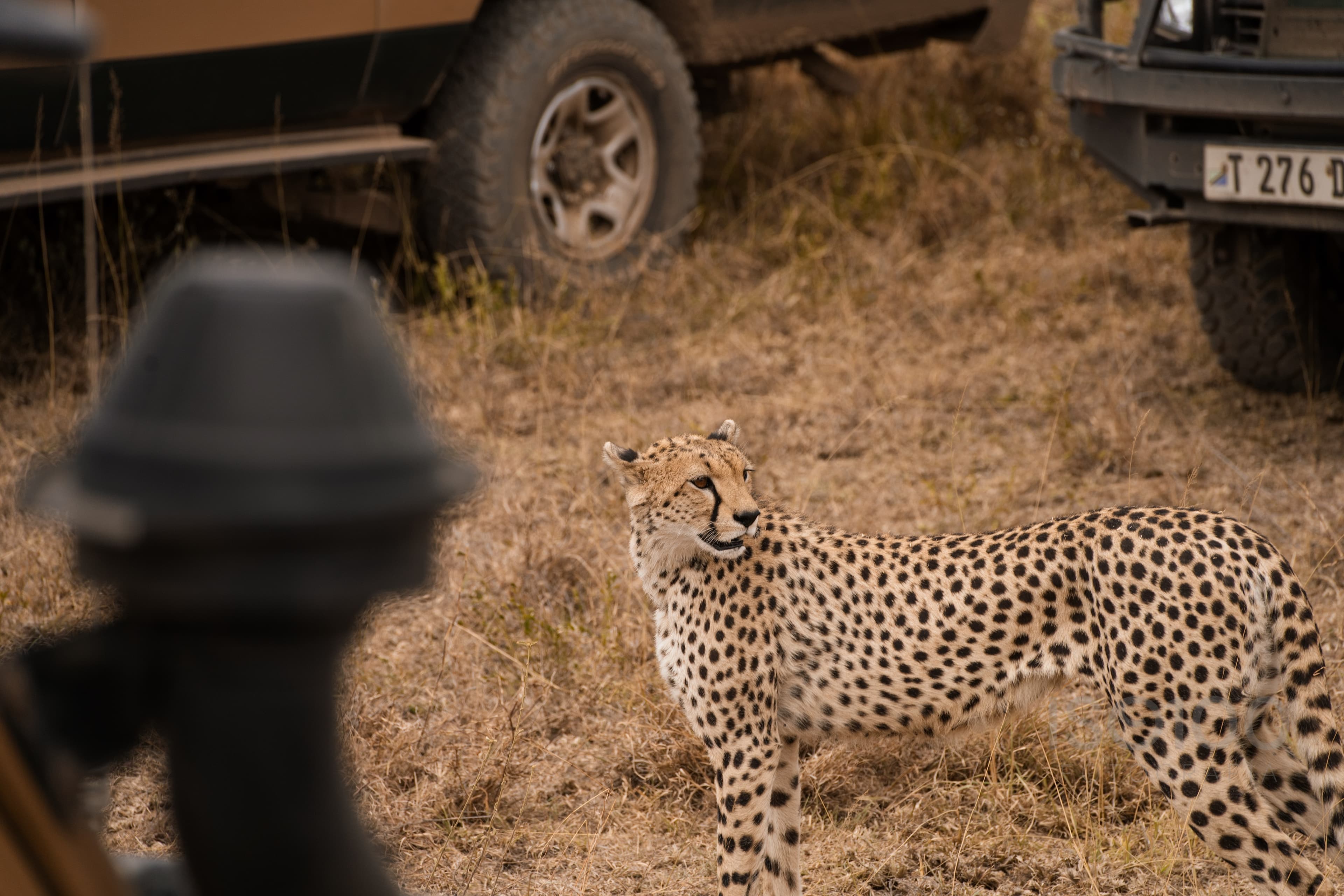 Africa — Tanzania