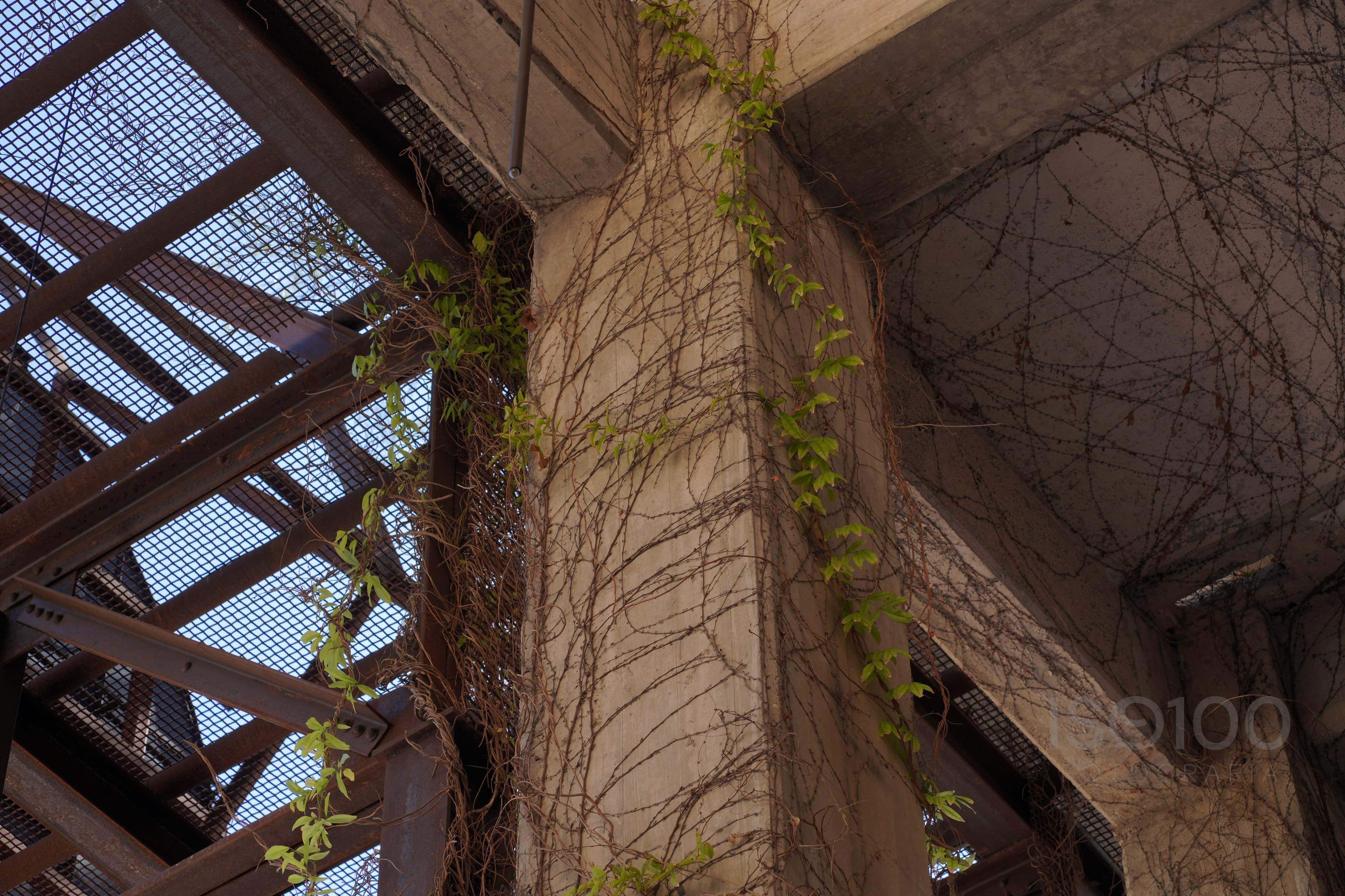 Architecture Photography